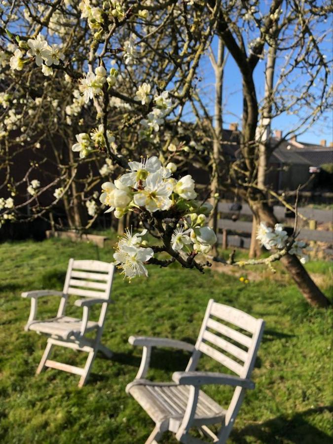 Onder De Boom Bed & Breakfast Gerkesklooster